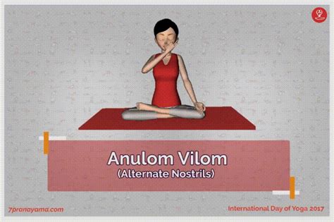 Anulom Vilom Pranayama | Pranayama, Pranayam, Patanjali yoga