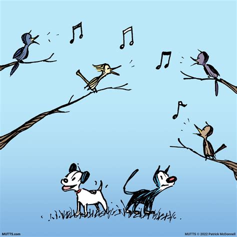 Mutts Comics, Cat Comics, Embossed Seal, Mooch, Bird Photography, Bird ...