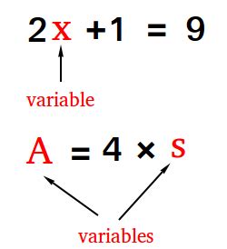 What does Variable Mean in Algebra? Definition and Examples