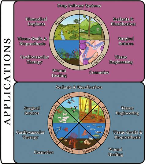 Summary of common healthcare applications of natural biomaterials... | Download Scientific Diagram