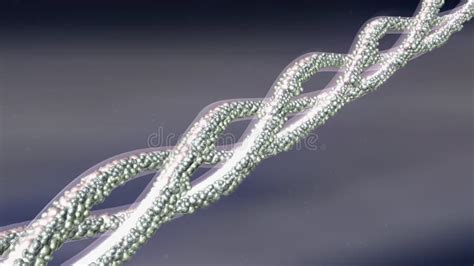 Collagen Molecule Structure 3D Model Stock Illustration - Illustration of helix, collagen: 245751574