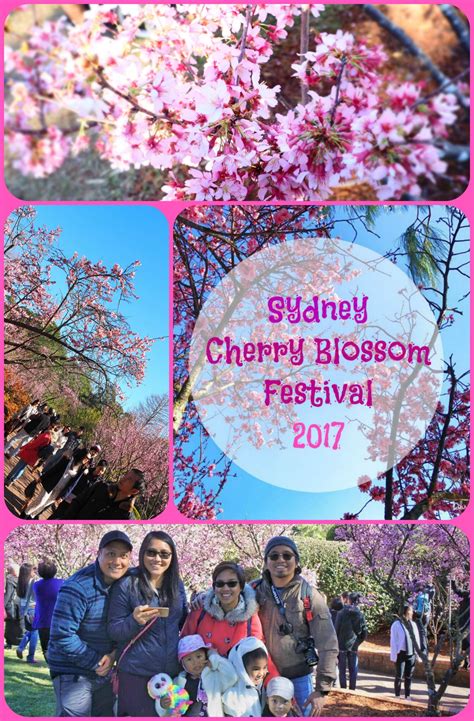 Sydney Cherry Blossom Festival, Sydney Australia Festival 2017, Making ...