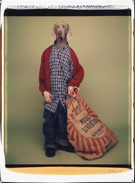 William Wegman | Christchurch Art Gallery Te Puna o Waiwhetū