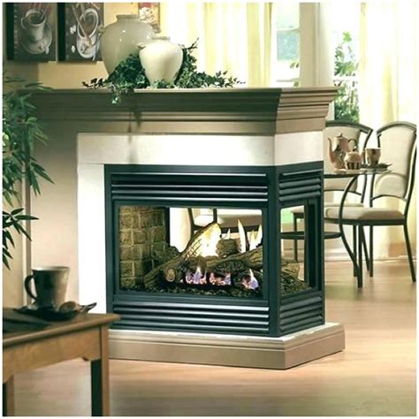 21 Stylish Double Sided Electric Fireplace Insert - Home, Decoration, Style and Art Ideas