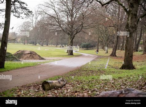 Walking the late Autumn Bute Park, Cadiff, Wales Stock Photo - Alamy