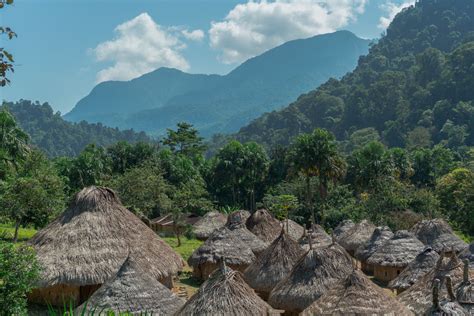 Lost City Colombia Trek 5 days | Magic Tour Colombia | Ciudad Perdida