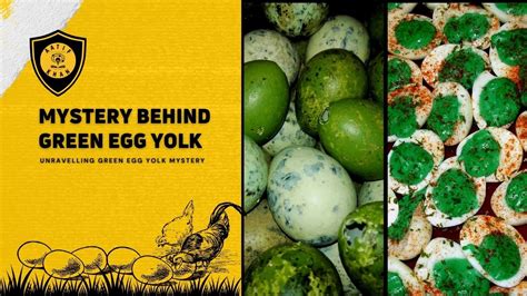 Mystery Behind Green Egg Yolk | Green Yolk | Green Egg Yolk In Kerala ...