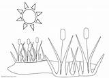 Pond Coloring Pages Printable Sketch Page sketch template