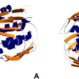 Equilibrium-ordered mechanism of EPSP Synthase (Modified from [85 ...