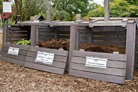 How To Hide A Compost Bin (with Style)