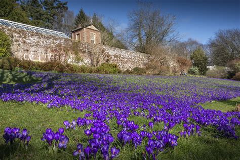 Wallington Hall and Gardens, Northumberland | Well, some goo… | Flickr