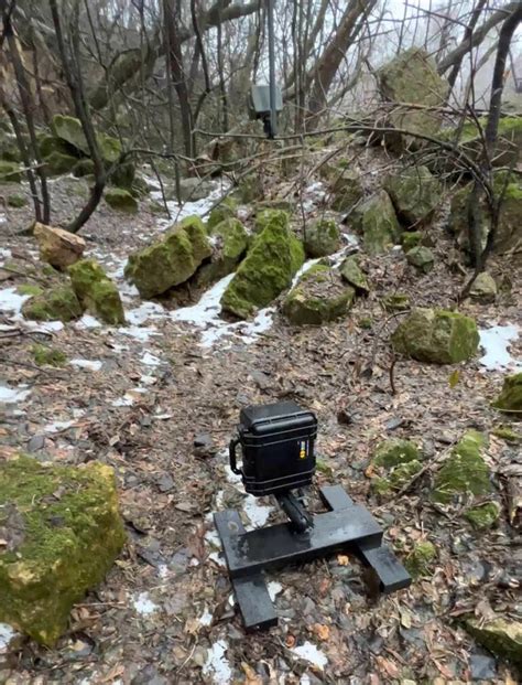 Photographer Sets Up His DIY Camera Trap In The Forest And Captures Stunning Images Of A Fox ...