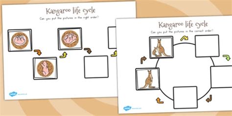 Kangaroo Life Cycle Worksheets (Teacher-Made)