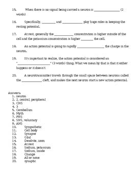 Amoeba Sisters Human Body: Nervous System Video Worksheet | TPT