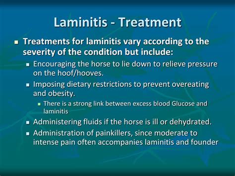 PPT - Equine Lameness PowerPoint Presentation, free download - ID:1943285