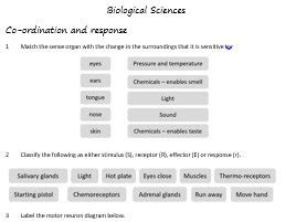 Year 9 Science worksheets | Teaching Resources