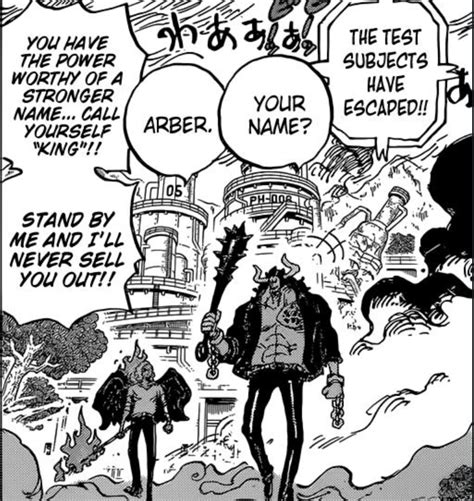 The moon WILL become very important to One Piece’s story - an updated theory. : r/OnePiece