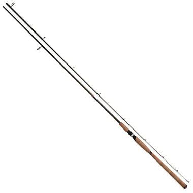 6 Best Salmon Fishing Rods In 2023 | Reviewed by Fishing Enthusiasts - Globo Surf