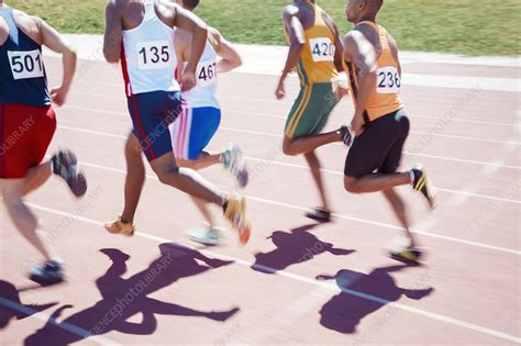 Runners racing on track - Stock Image - F013/9845 - Science Photo Library