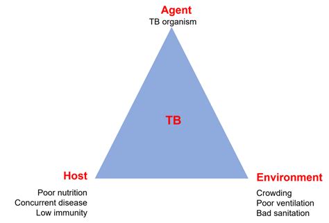 Epidemiological Triad of TB | Knowledge Base