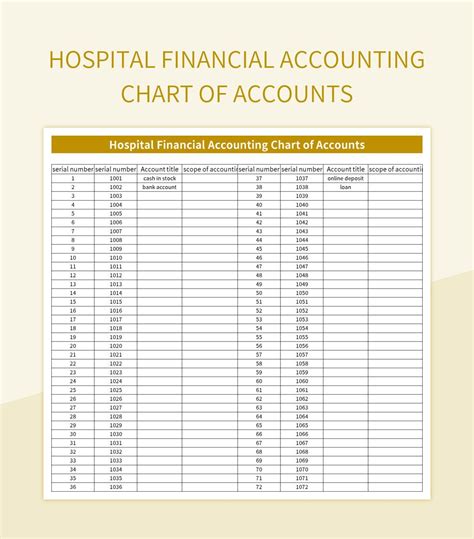 Hospital Financial Accounting Chart Of Accounts Excel Template And ...