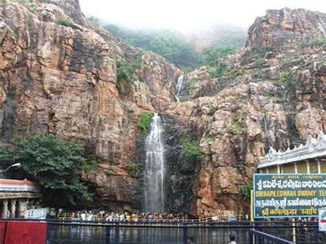 Parks in Tirupati, Nature Park in Tirupati, Tirupati Theme Park