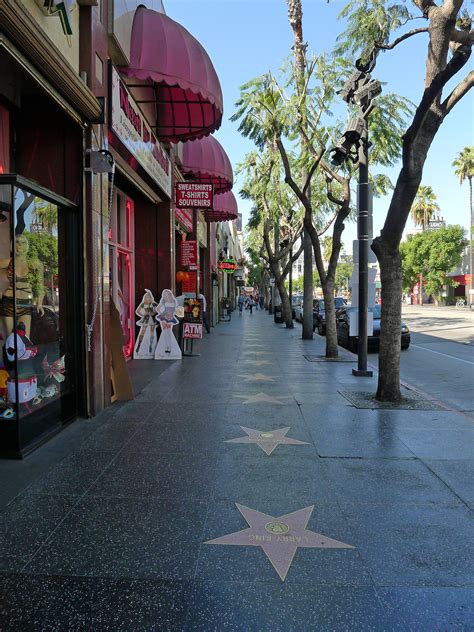 Пин на доске On The Boulevard. HOLLYWOOD BLVD. Walk Of Fame