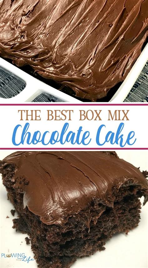 55+ Box Cake With Instant Pudding Recipe