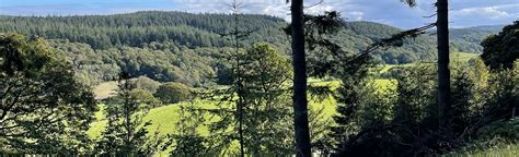 Grizedale Forest Circular: 49 Reviews, Map - Cumbria, England | AllTrails