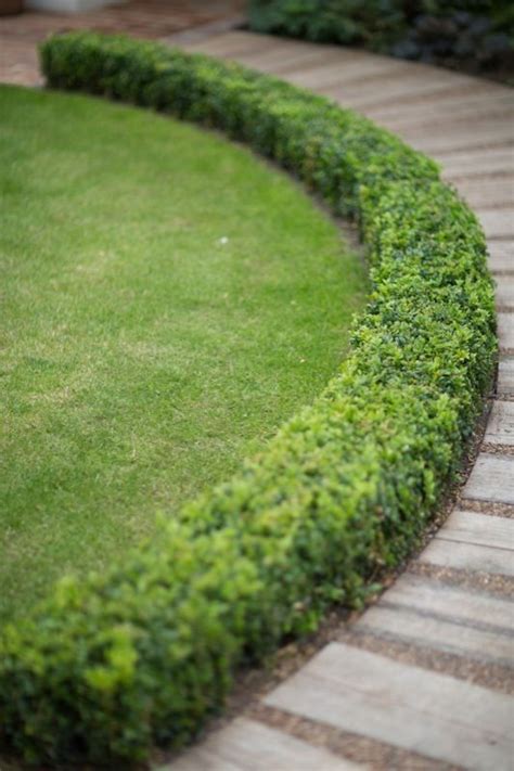 Impressive Fabulous Boxwood Landscaping Ideas to Add Green Beauty to ...