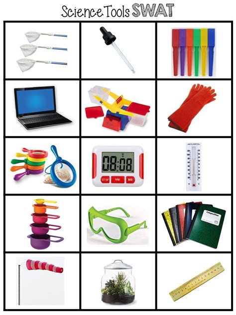 Science Tools Worksheet Kindergarten