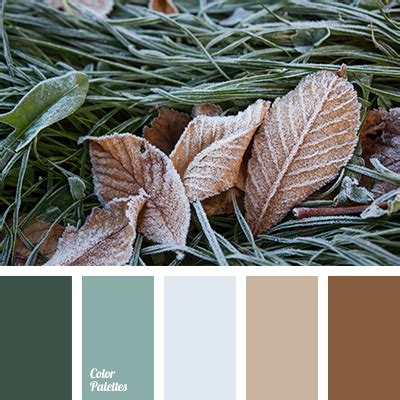 Grey Color Palettes | Page 14 of 84 | Color Palette Ideas