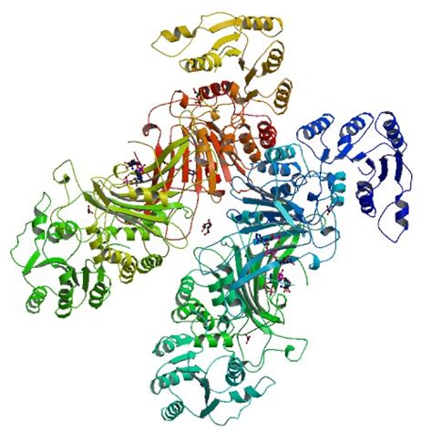 Glucose-6-phosphate dehydrogenase - wikidoc