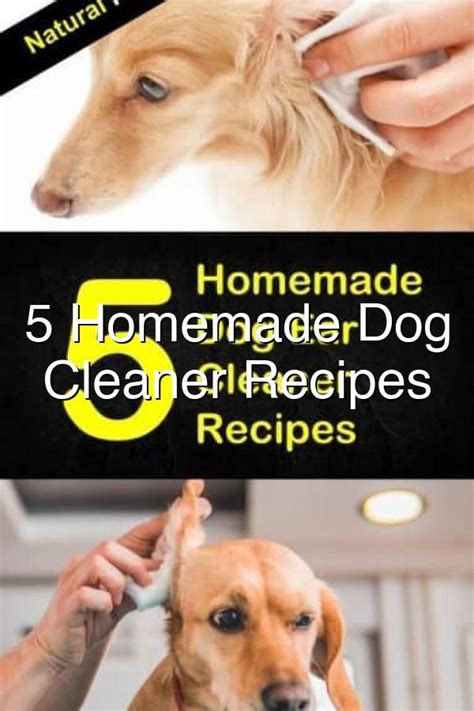 Homemade Dog Ear Cleaner Hydrogen Peroxide / How to Clean Dogs' Ears: Step by Step Instructions ...