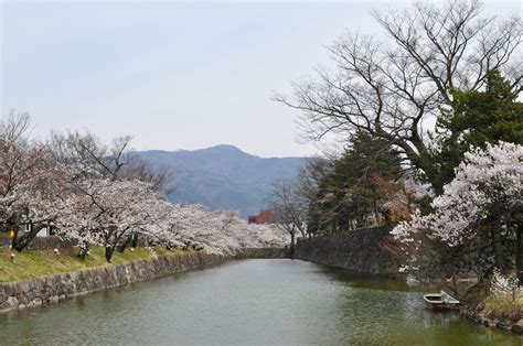 Matsumoto April 2014 004 | Matsumoto, Cherry blossom, April