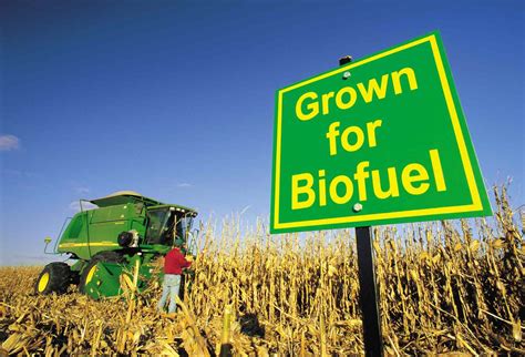 The Pros and Cons of Biofuels