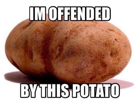 I'm offended by this potato. Potato Meme, Potato Famine, How To Make Light, Offended, Mocking ...