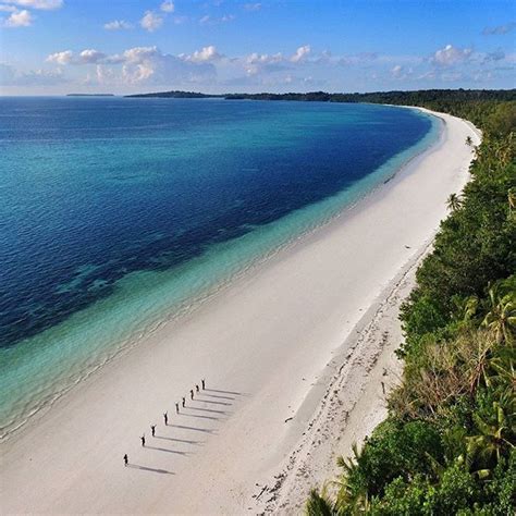 an aerial view of a beach with several people walking on the sand and trees in the foreground