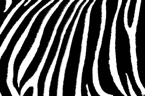 Zebra Skin Stripes Pattern Free Stock Photo - Public Domain Pictures