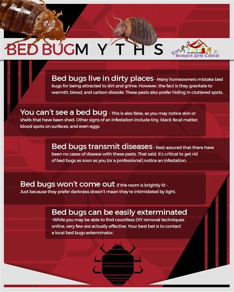 Effective Strategies for Bed Bug Eradication: A Guide for Homeowners ...