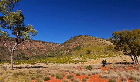 Outback NSW | NSW National Parks