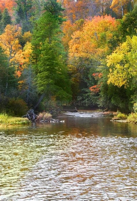 New England Fall Foliage stock photo. Image of nature - 1388798