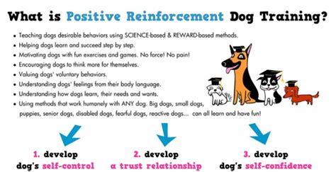 Positive Reinforcement dog training method - Dog Breeders Guide