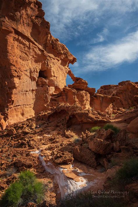 Gold Butte National Monument in Nevada | Oregon Exposures