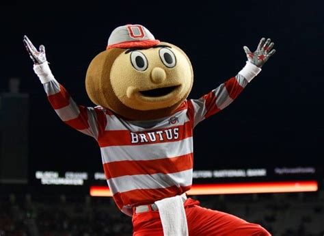 Ohio State mascot will march in Pride parade after all - WFMJ.com News weather sports for ...