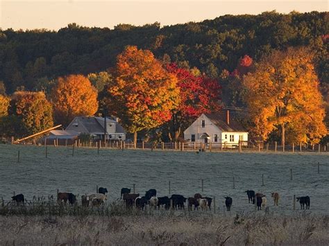 Autumn farm Background. Autumn Farm Scenes. Farm Life, Ohio Countryside ...