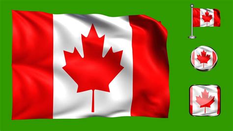 Canada 4 Type Of Flag Animation Green Screen Chroma Video - YouTube