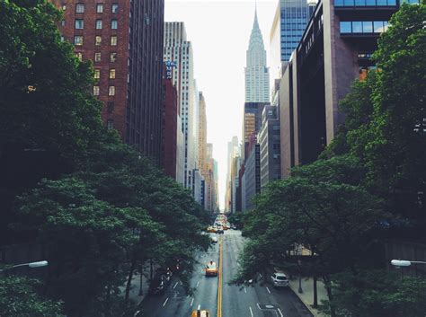 Free Images : tree, architecture, road, skyline, street, city ...