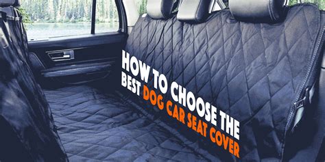 10 Best Dog Car Seat Covers for SUVs, Cars & Trucks [2025 – Reviews]