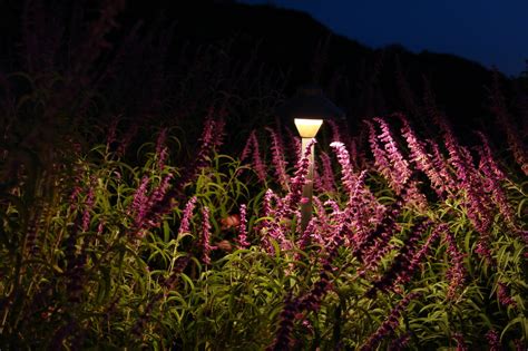 5 Landscape Lighting Ideas for Vegetable Gardens | Install-It-Direct